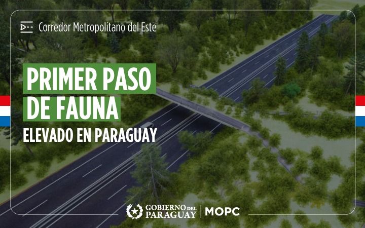 Primer paso de fauna elevado de Paraguay.